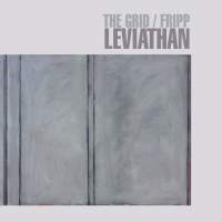 The Grid and Robert Fripp-